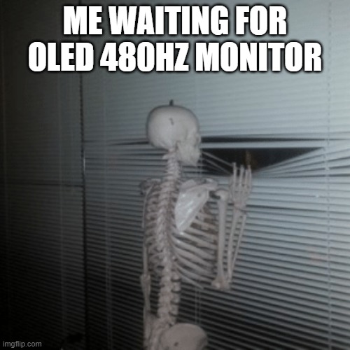 me waiting for oled 480hz monitor.jpg