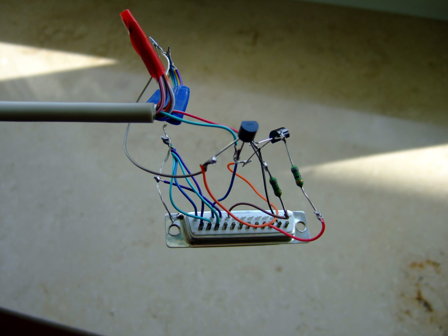 DSCF8677 (Large).JPG