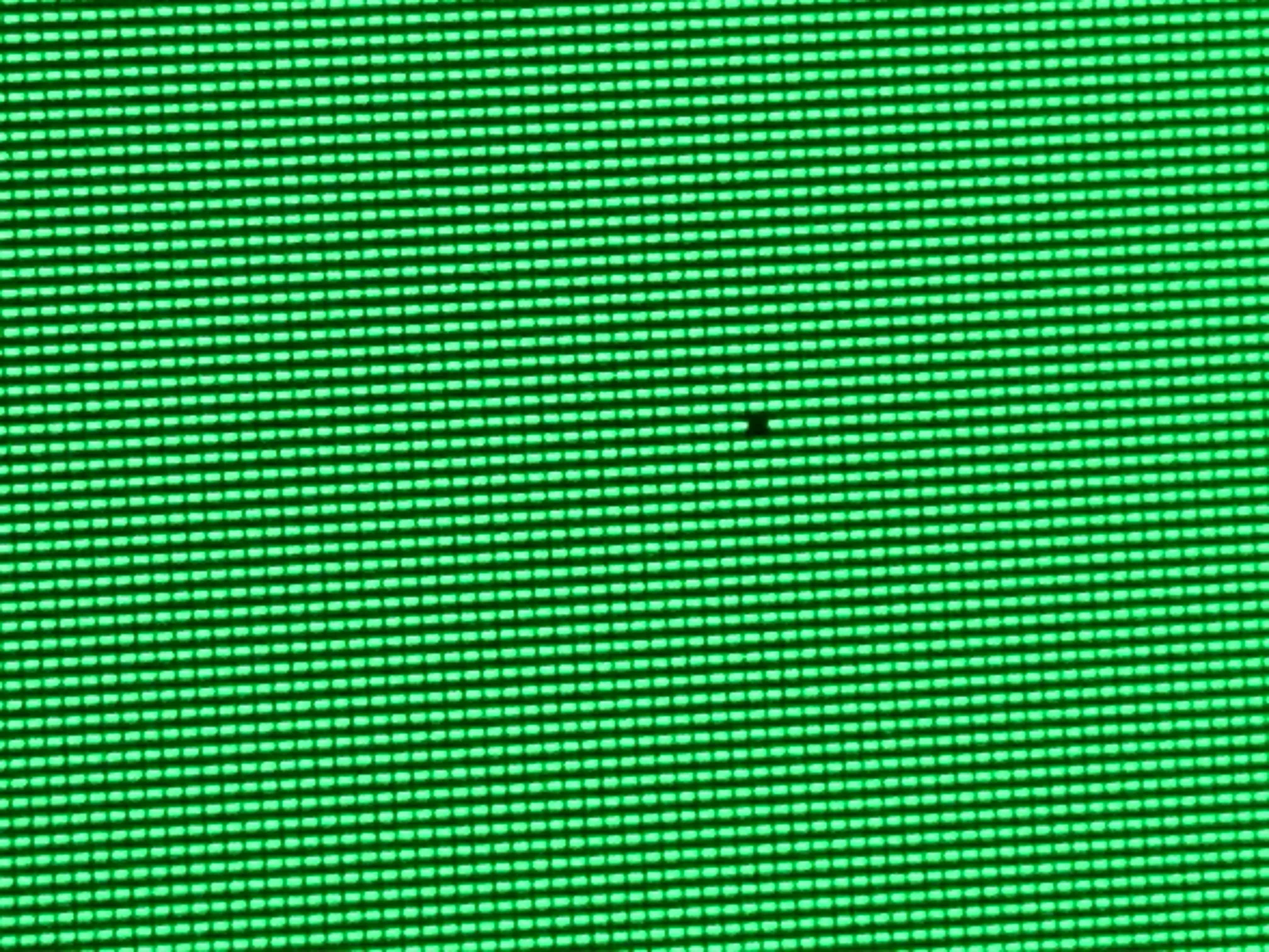 C41409E2-54C0-4E11-86D8-FAF33F3E49C0.jpeg
