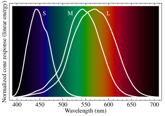 Normalized response spectra of human cones to monochromatic spectral stimuli, with wavelength given in nanometers