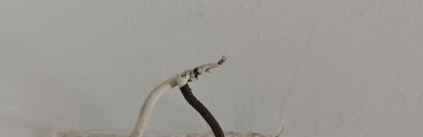 WhatsApp Image 2026-01-05 at 21.02.40 (1).JPG